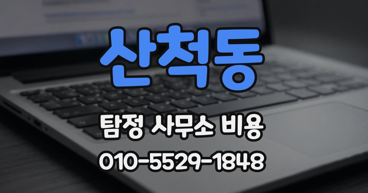 산척동 탐정 사무소 비용