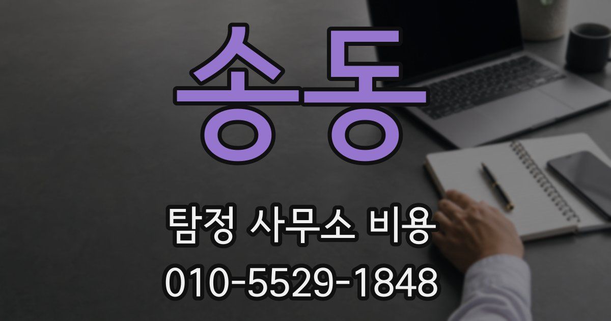 송동 탐정 사무소 비용