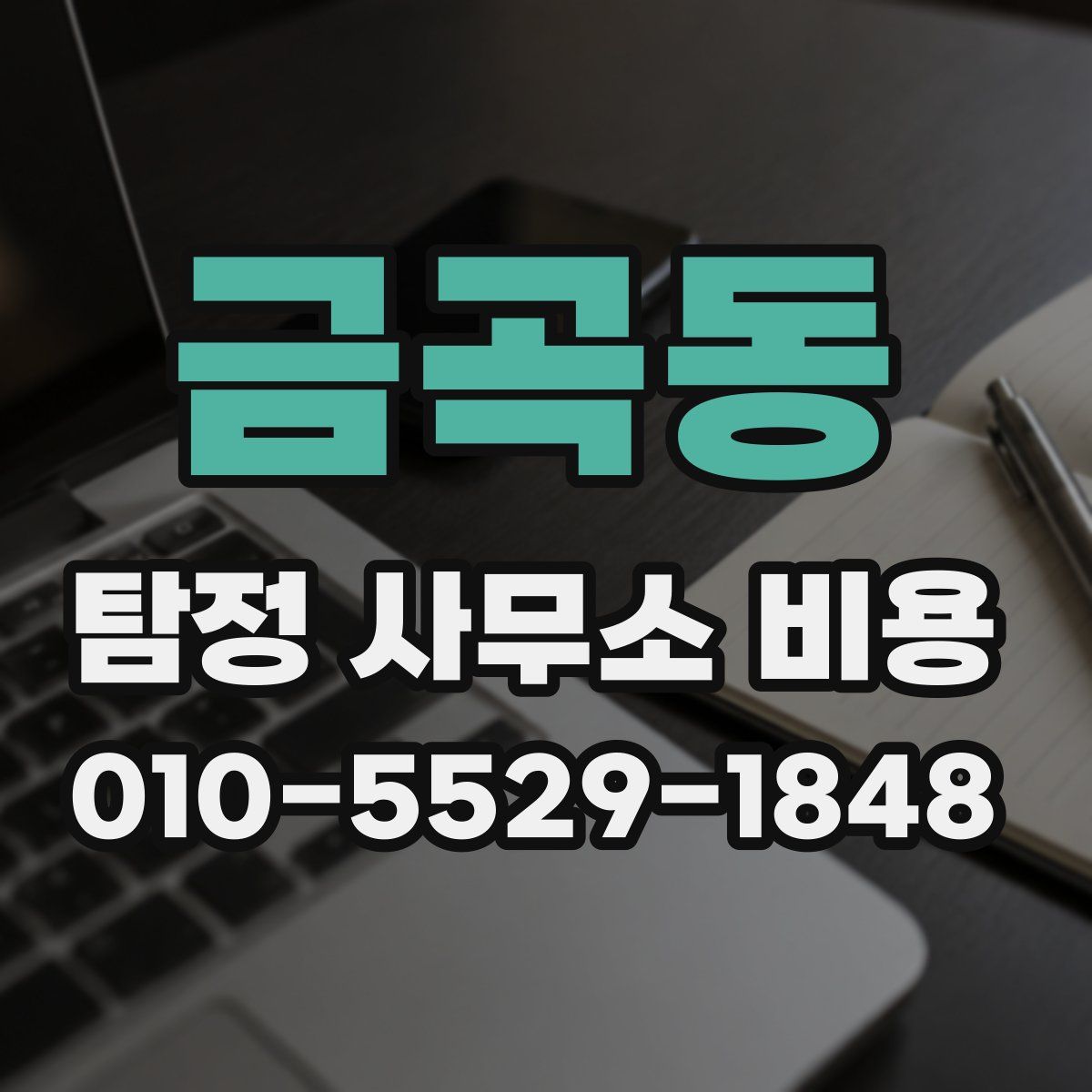 금곡동 탐정 사무소 비용