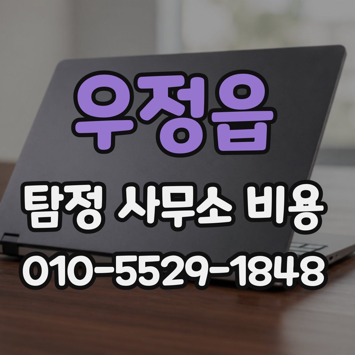 우정읍 탐정 사무소 비용