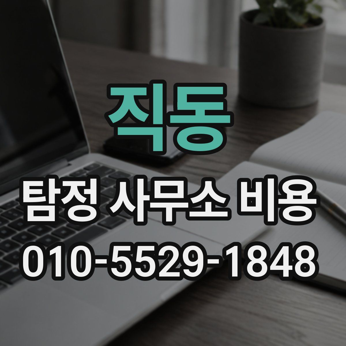 직동 탐정 사무소 비용