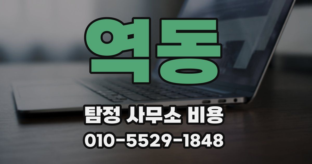 역동 탐정 사무소 비용