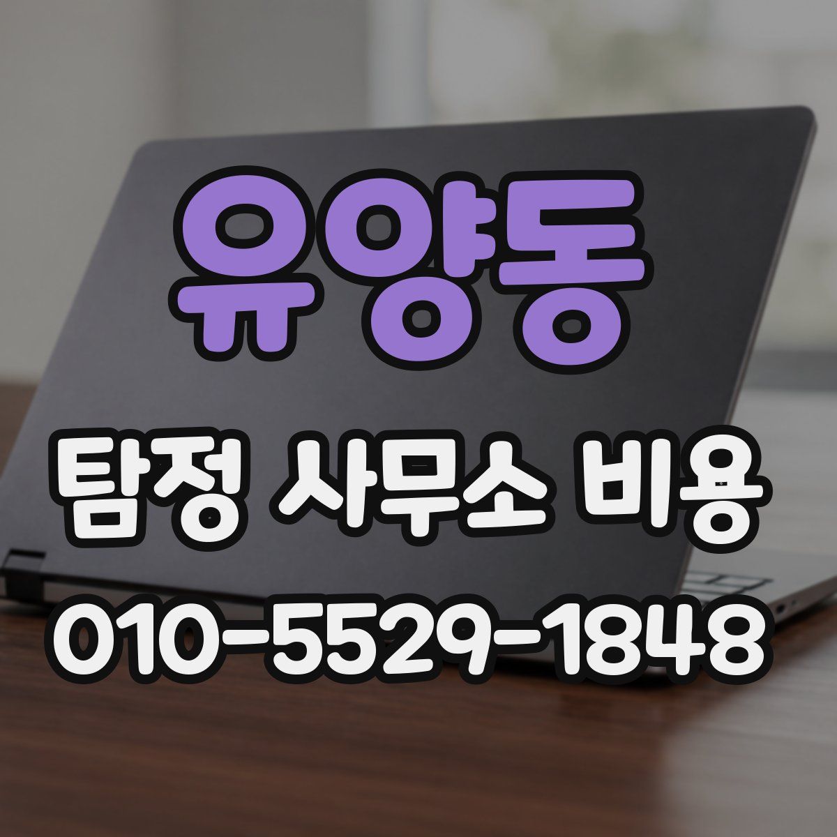 유양동 탐정 사무소 비용