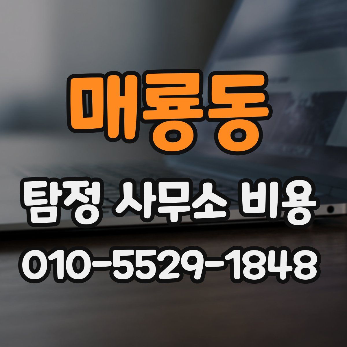 매룡동 탐정 사무소 비용