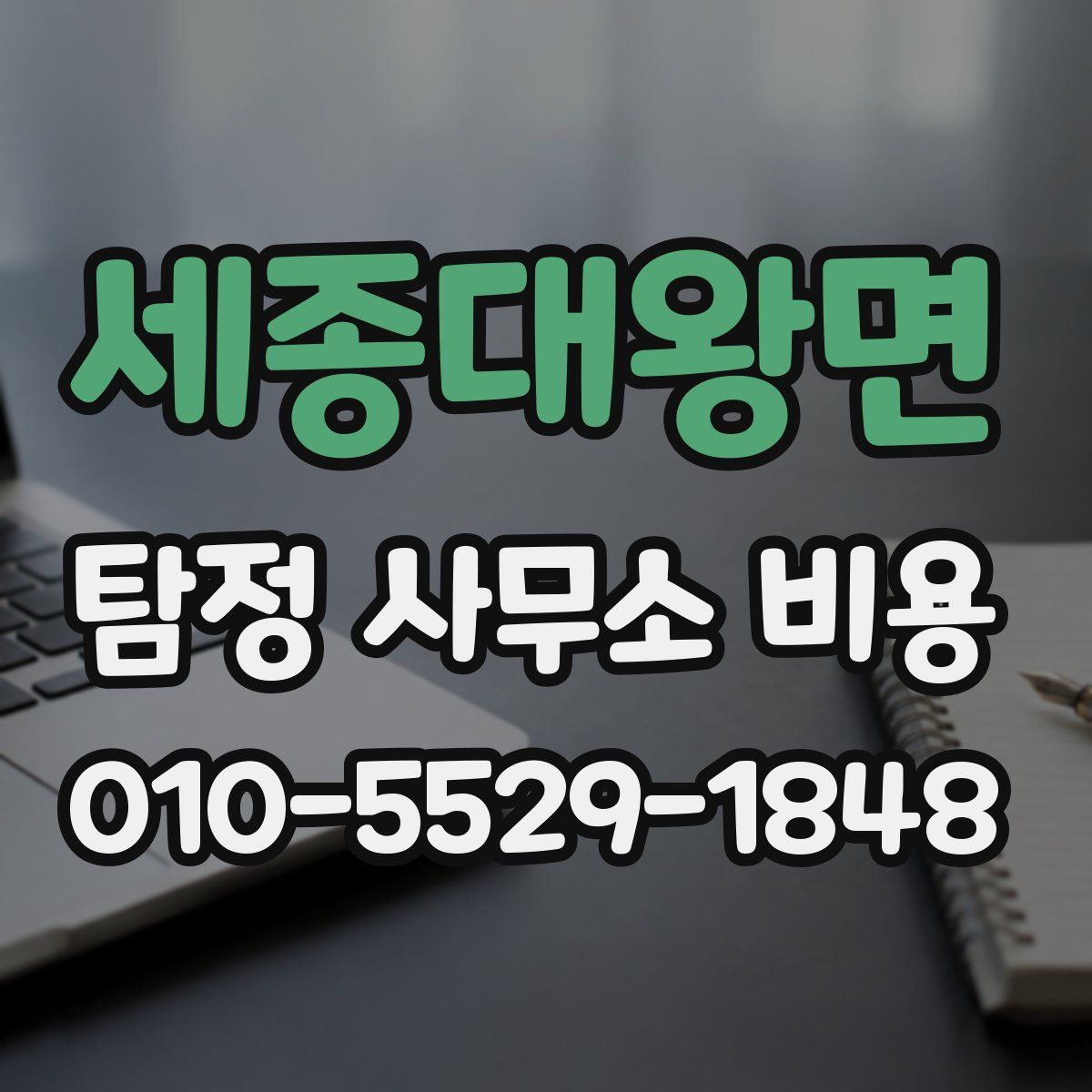 세종대왕면 탐정 사무소 비용