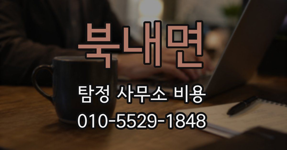 북내면 탐정 사무소 비용