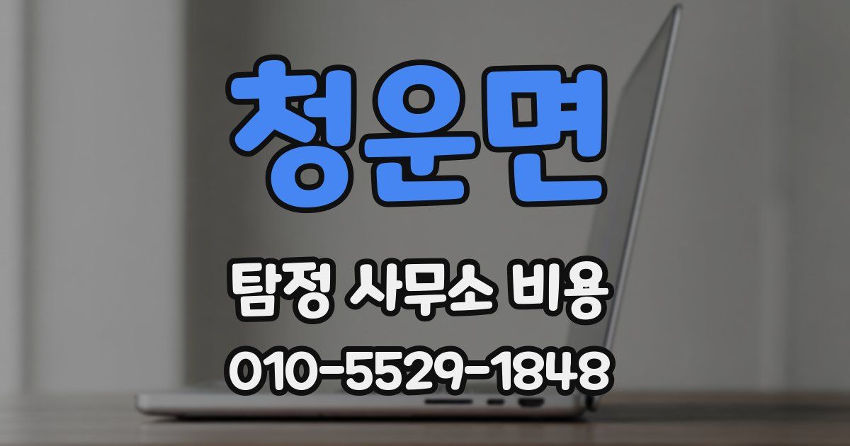 청운면 탐정 사무소 비용
