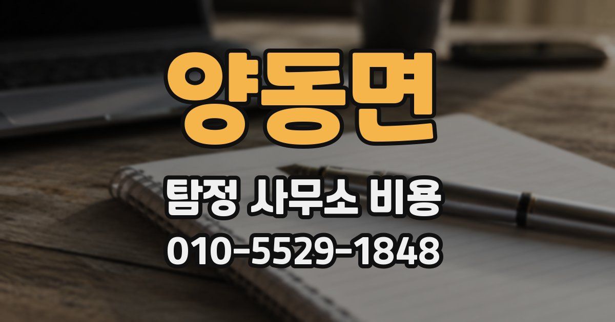 양동면 탐정 사무소 비용