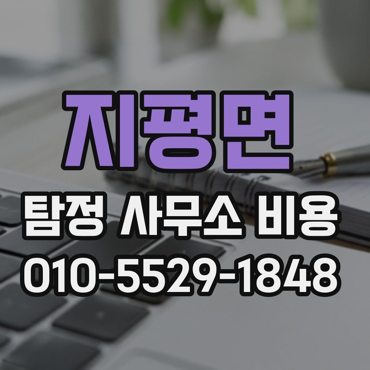 지평면 탐정 사무소 비용