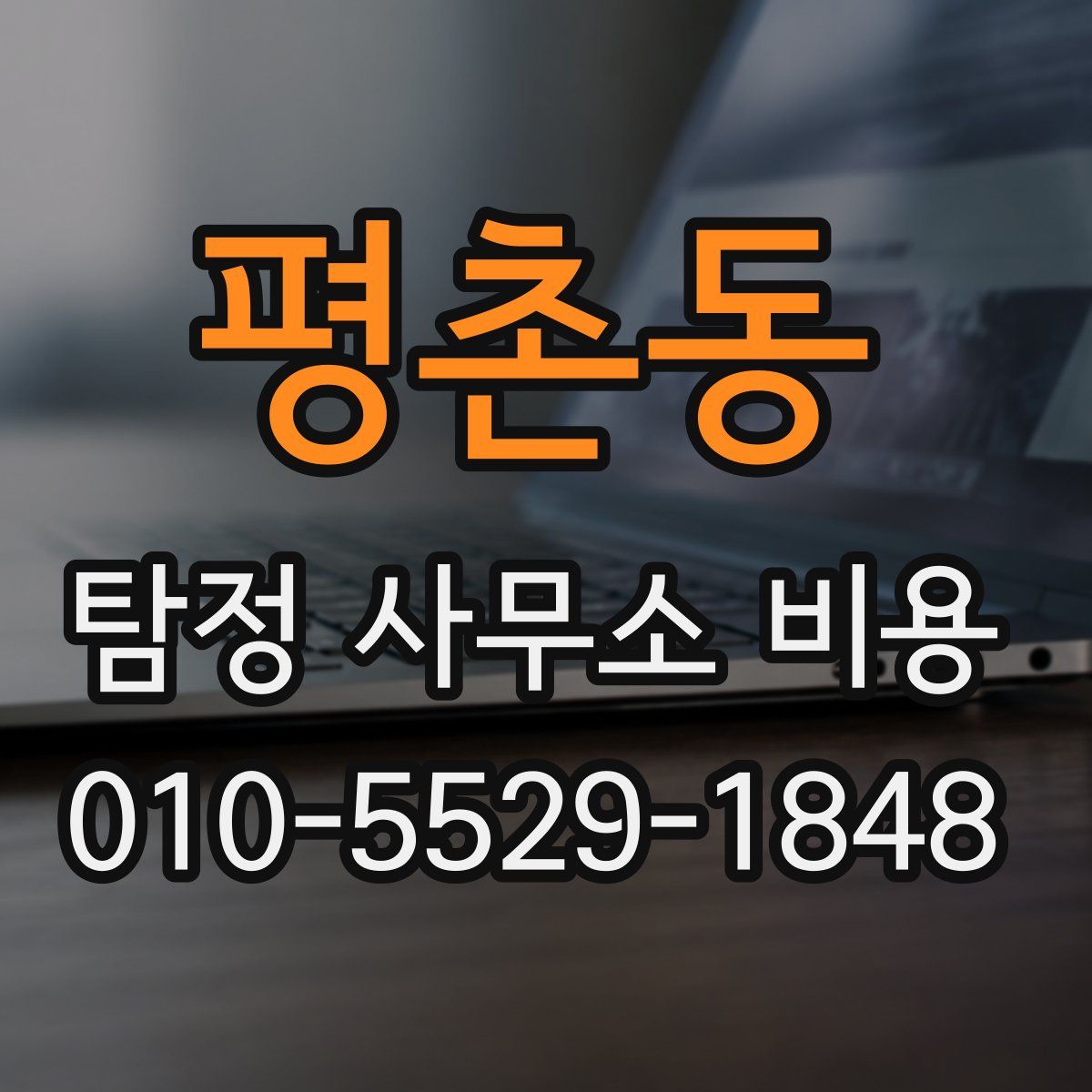 평촌동 탐정 사무소 비용
