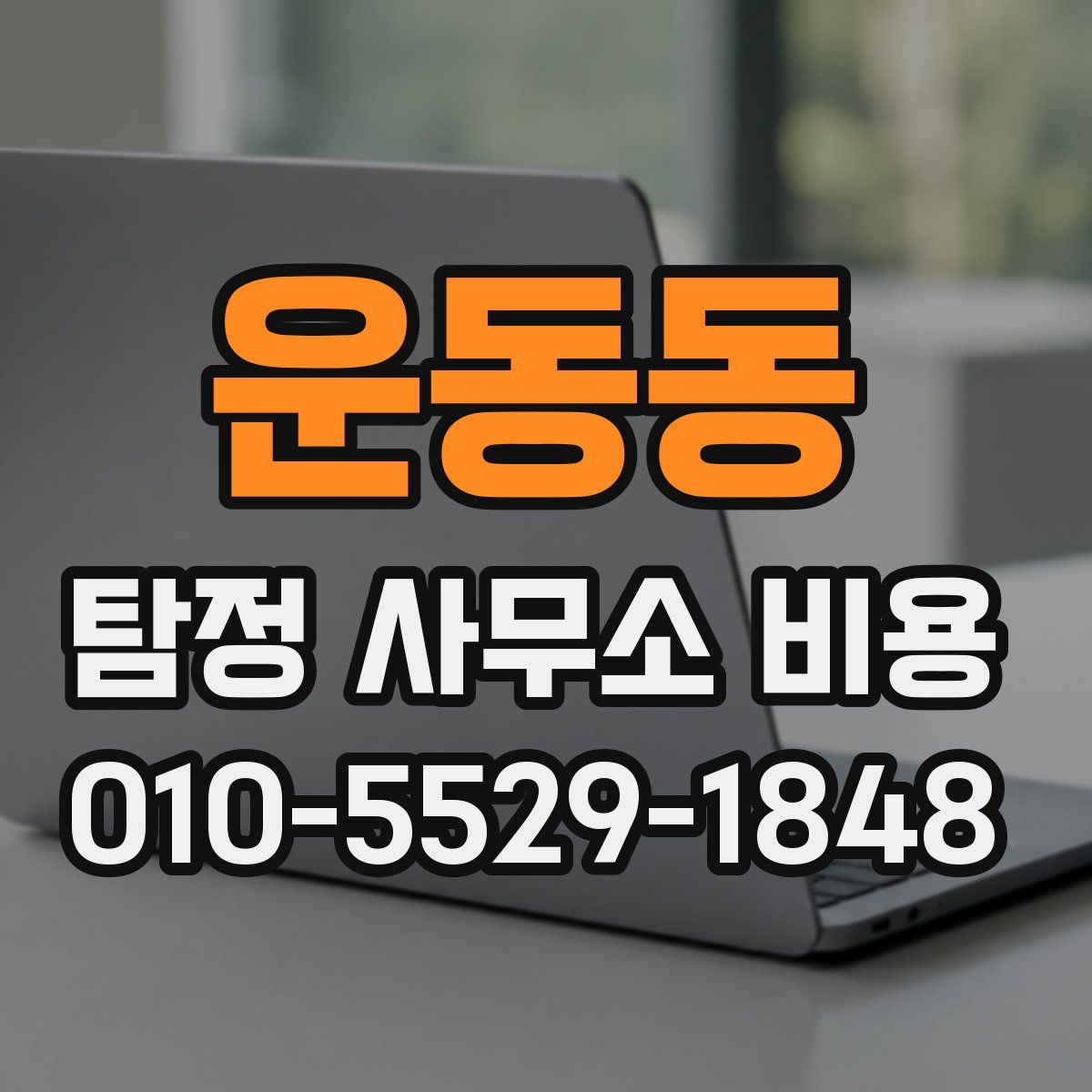 운동동 탐정 사무소 비용