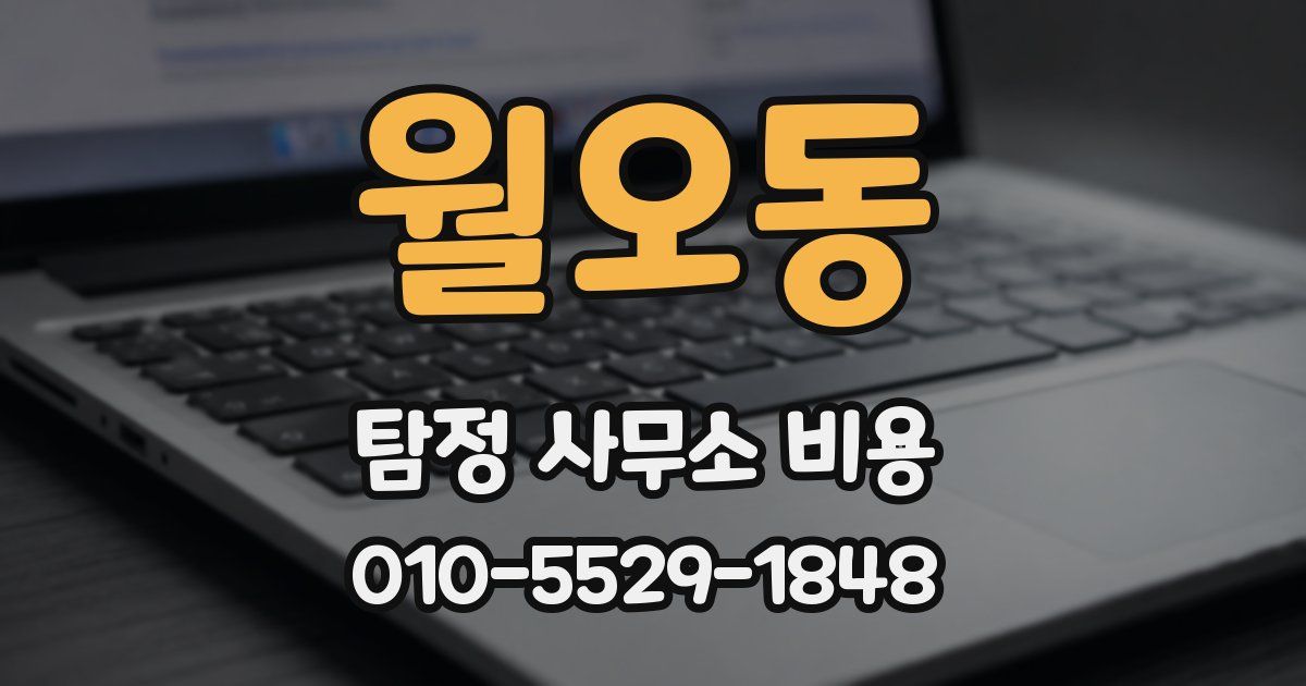 월오동 탐정 사무소 비용