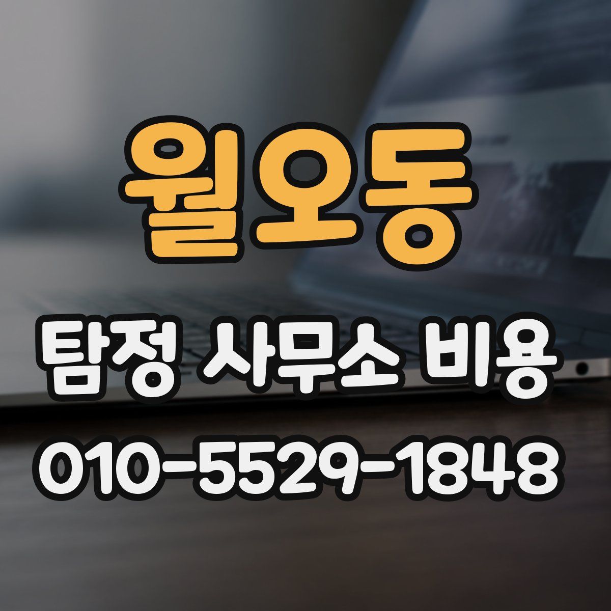 월오동 탐정 사무소 비용