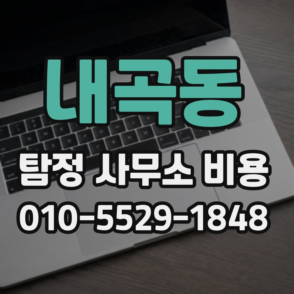 내곡동 탐정 사무소 비용