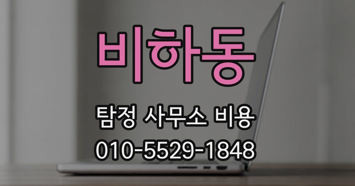 비하동 탐정 사무소 비용