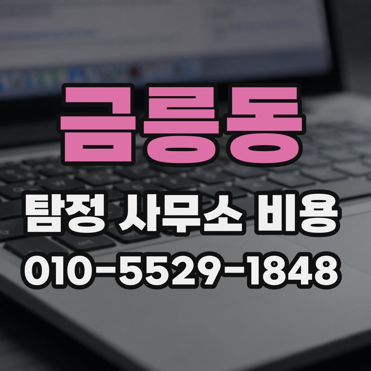 금릉동 탐정 사무소 비용
