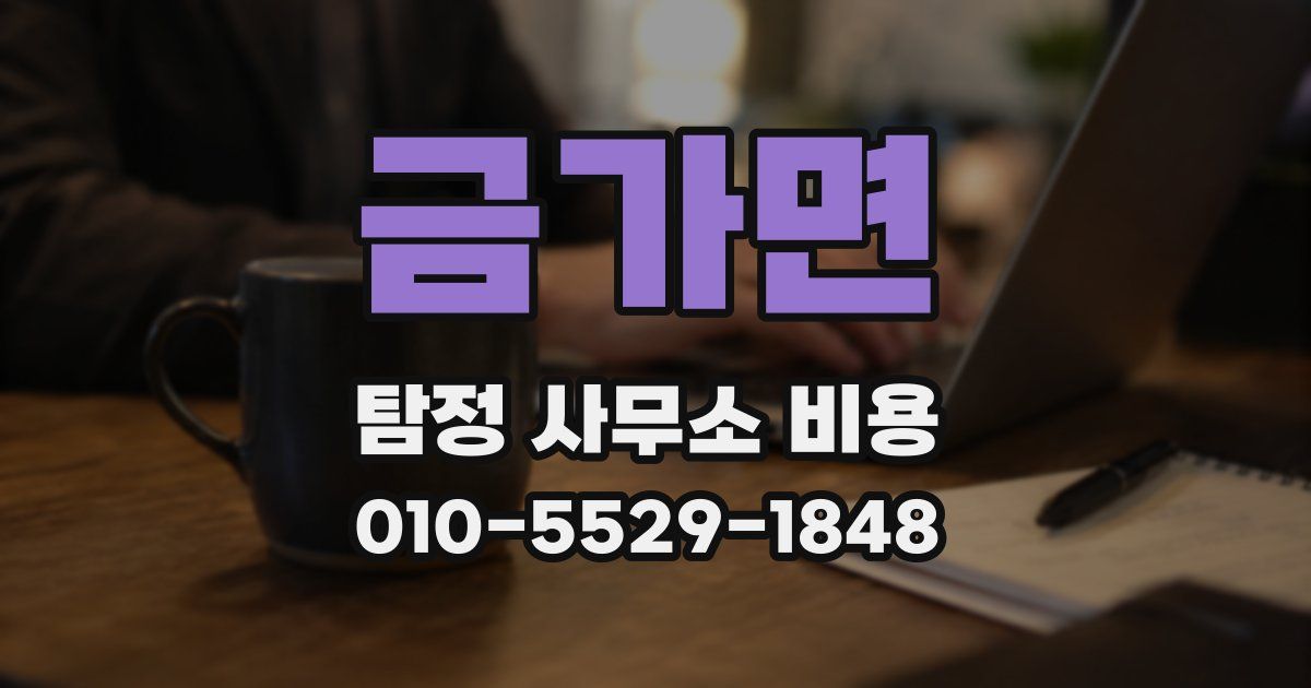 금가면 탐정 사무소 비용
