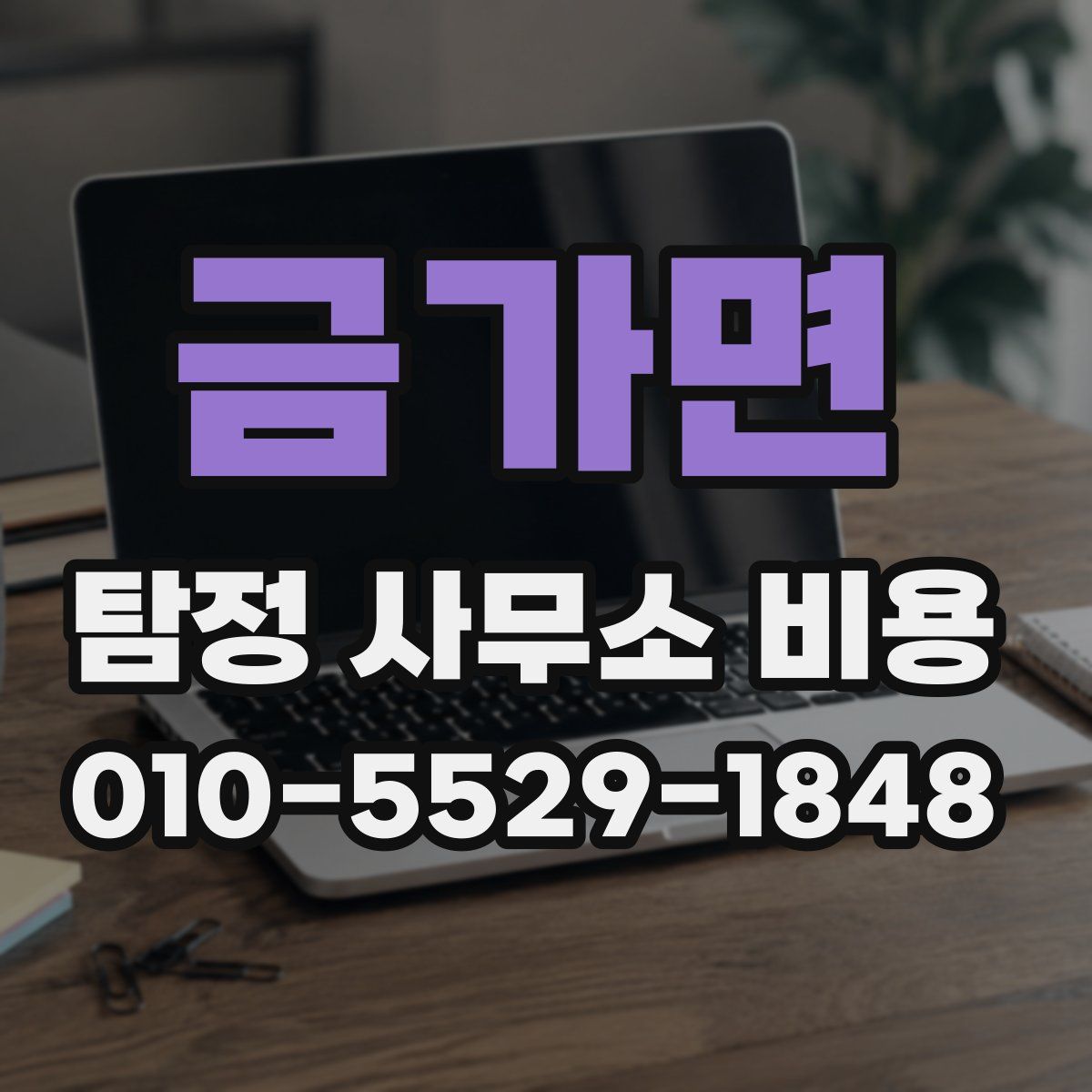 금가면 탐정 사무소 비용