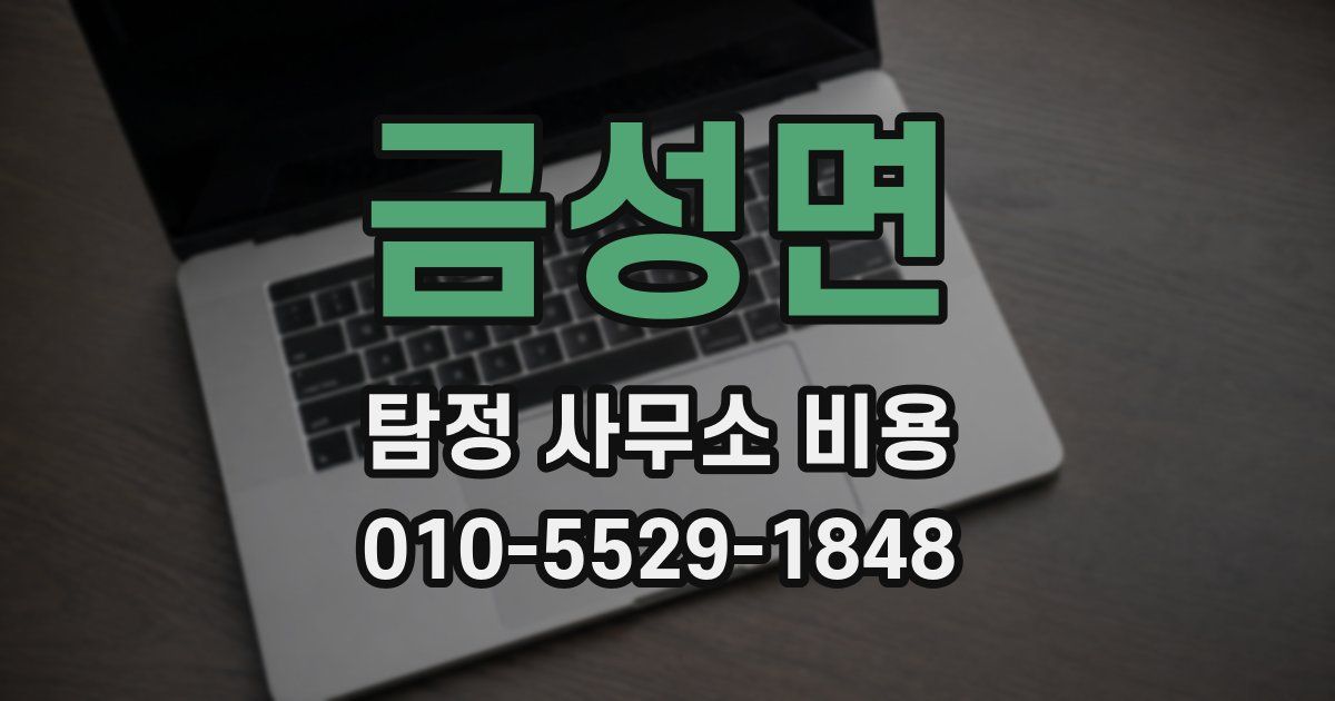 금성면 탐정 사무소 비용