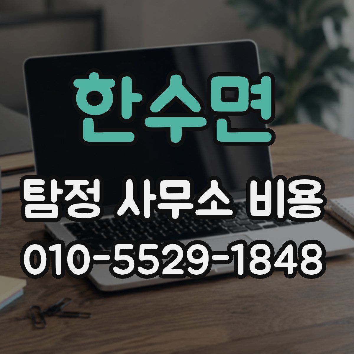 한수면 탐정 사무소 비용