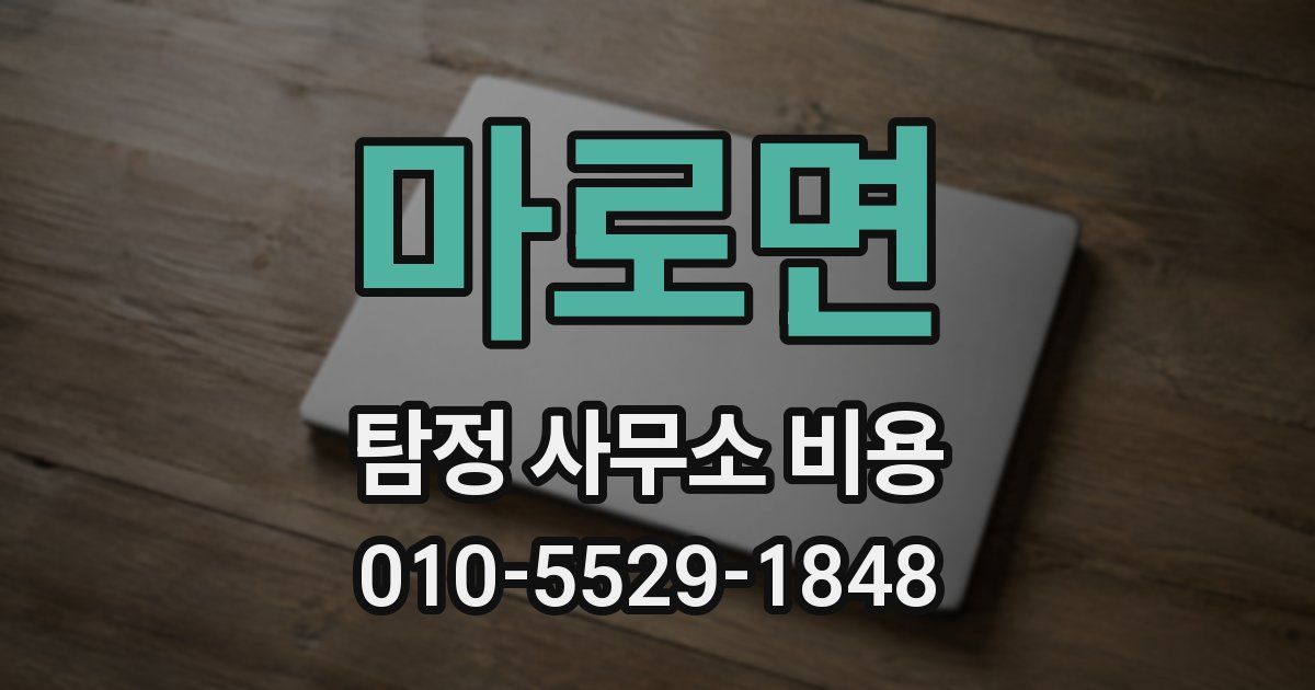 마로면 탐정 사무소 비용