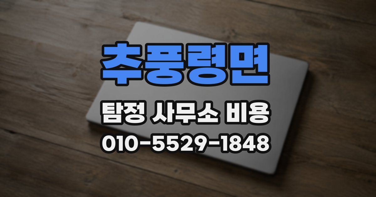 추풍령면 탐정 사무소 비용