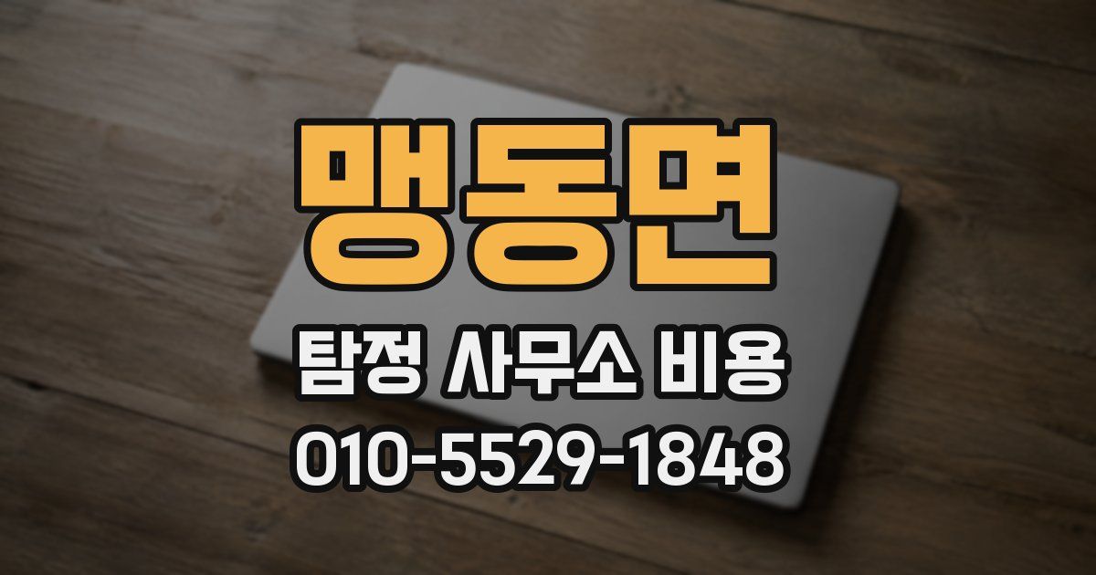 맹동면 탐정 사무소 비용