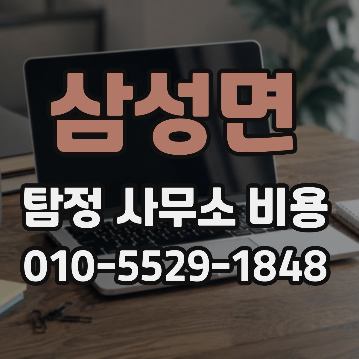 삼성면 탐정 사무소 비용