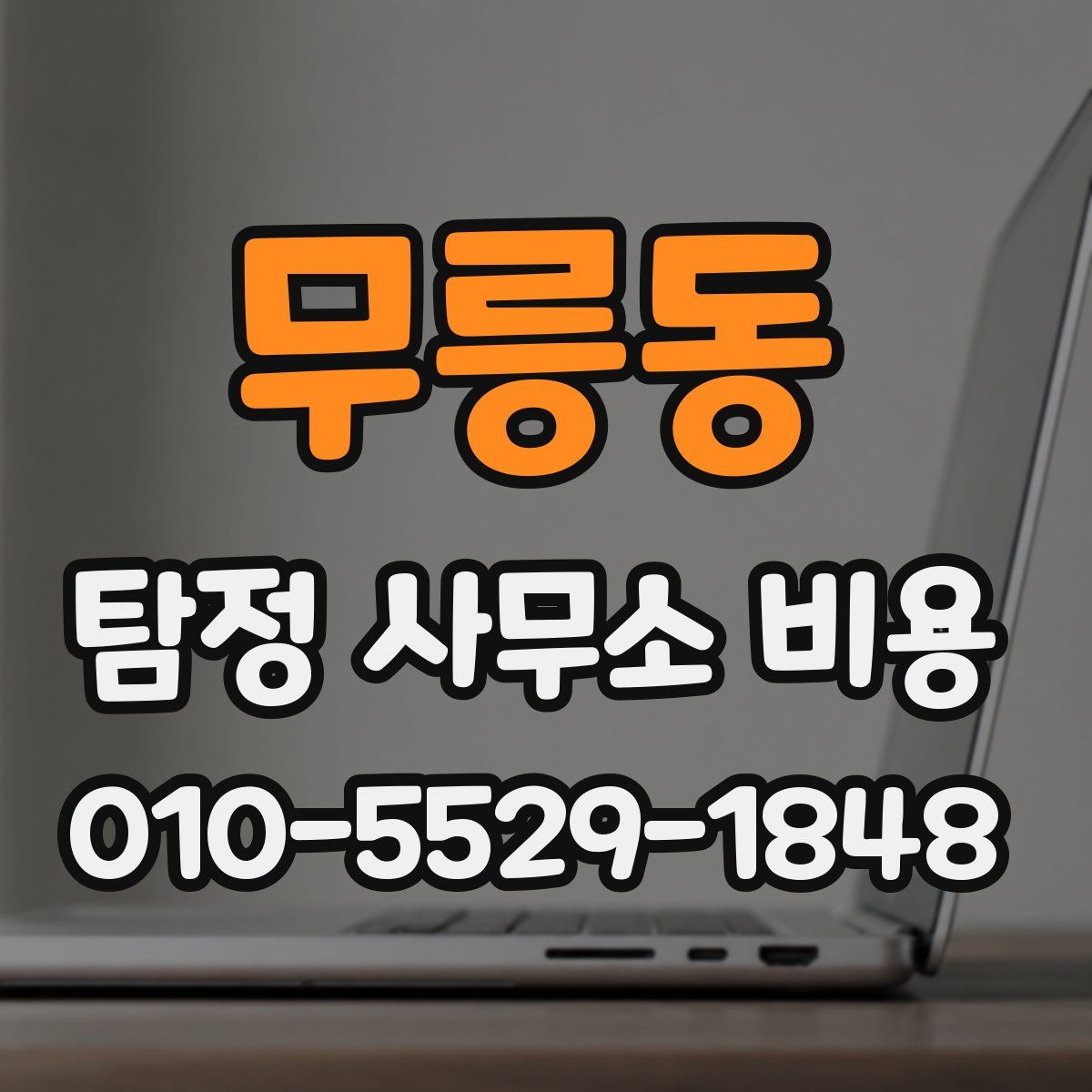 무릉동 탐정 사무소 비용