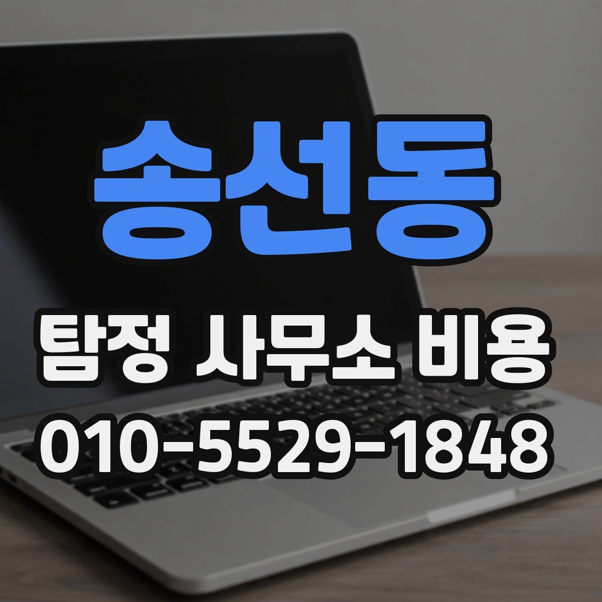 송선동 탐정 사무소 비용