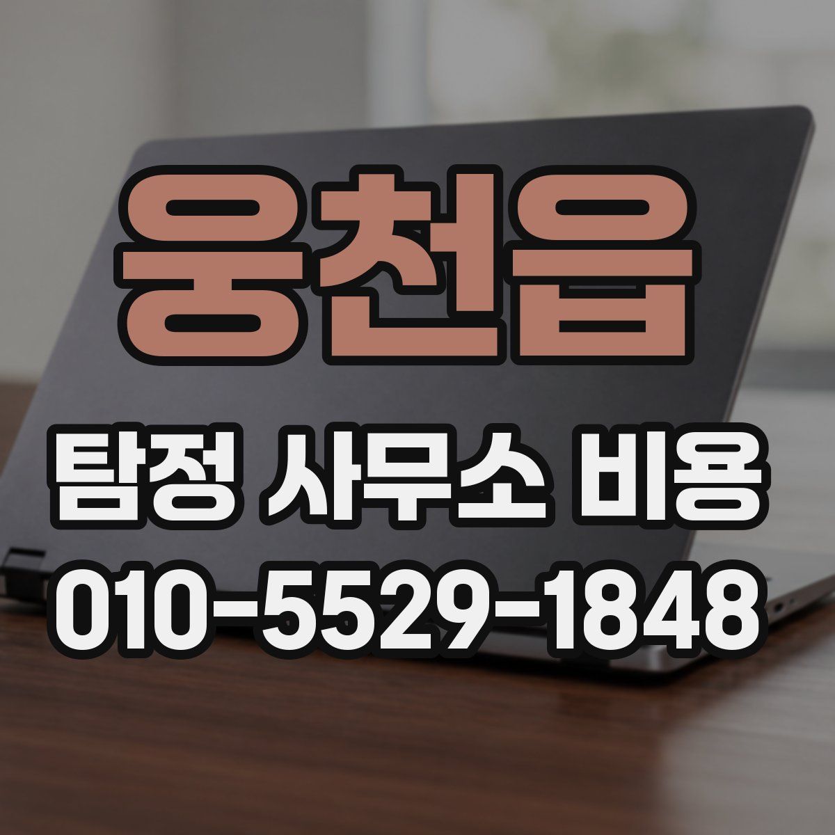 웅천읍 탐정 사무소 비용