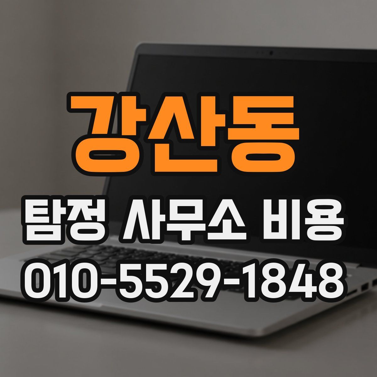 강산동 탐정 사무소 비용