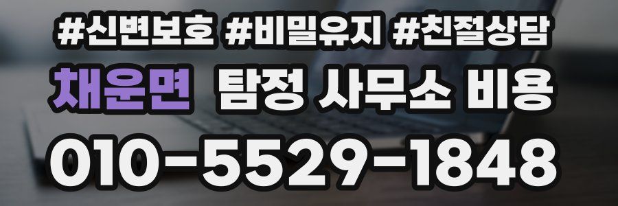 채운면 탐정 사무소 비용