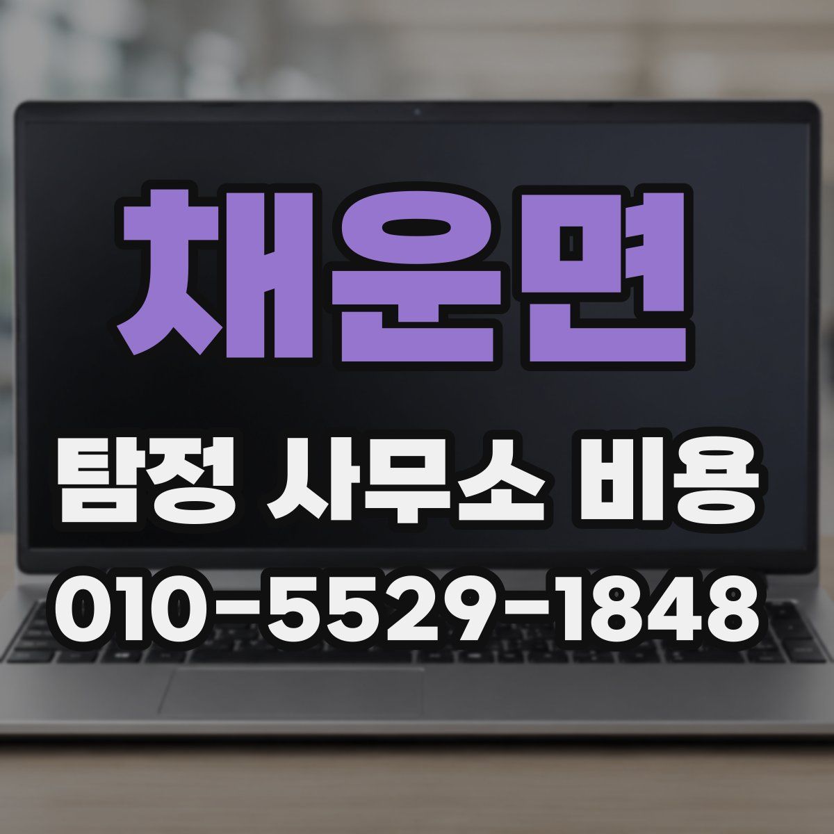 채운면 탐정 사무소 비용