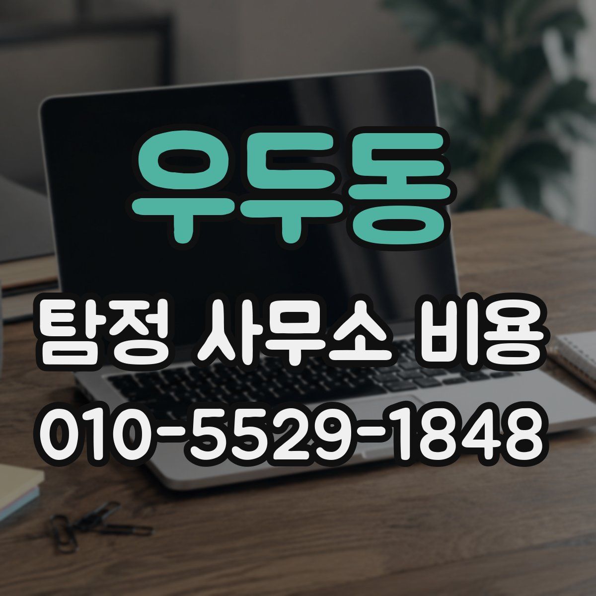 우두동 탐정 사무소 비용