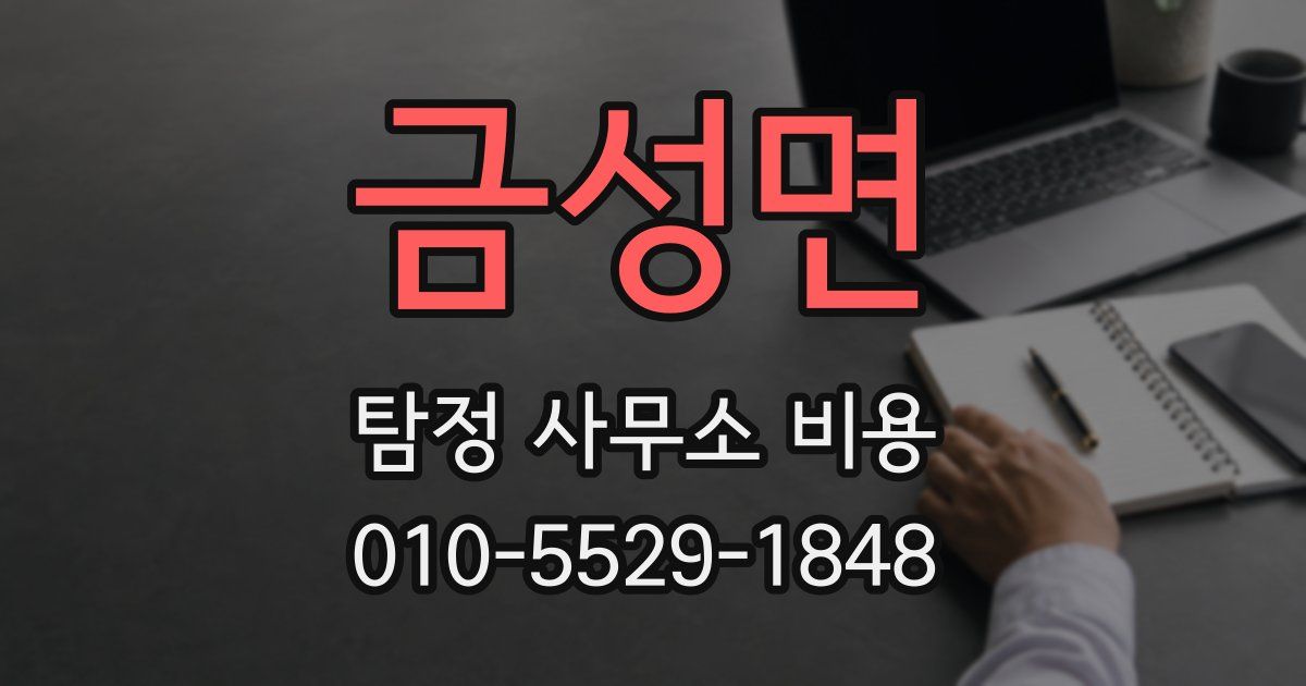 금성면 탐정 사무소 비용