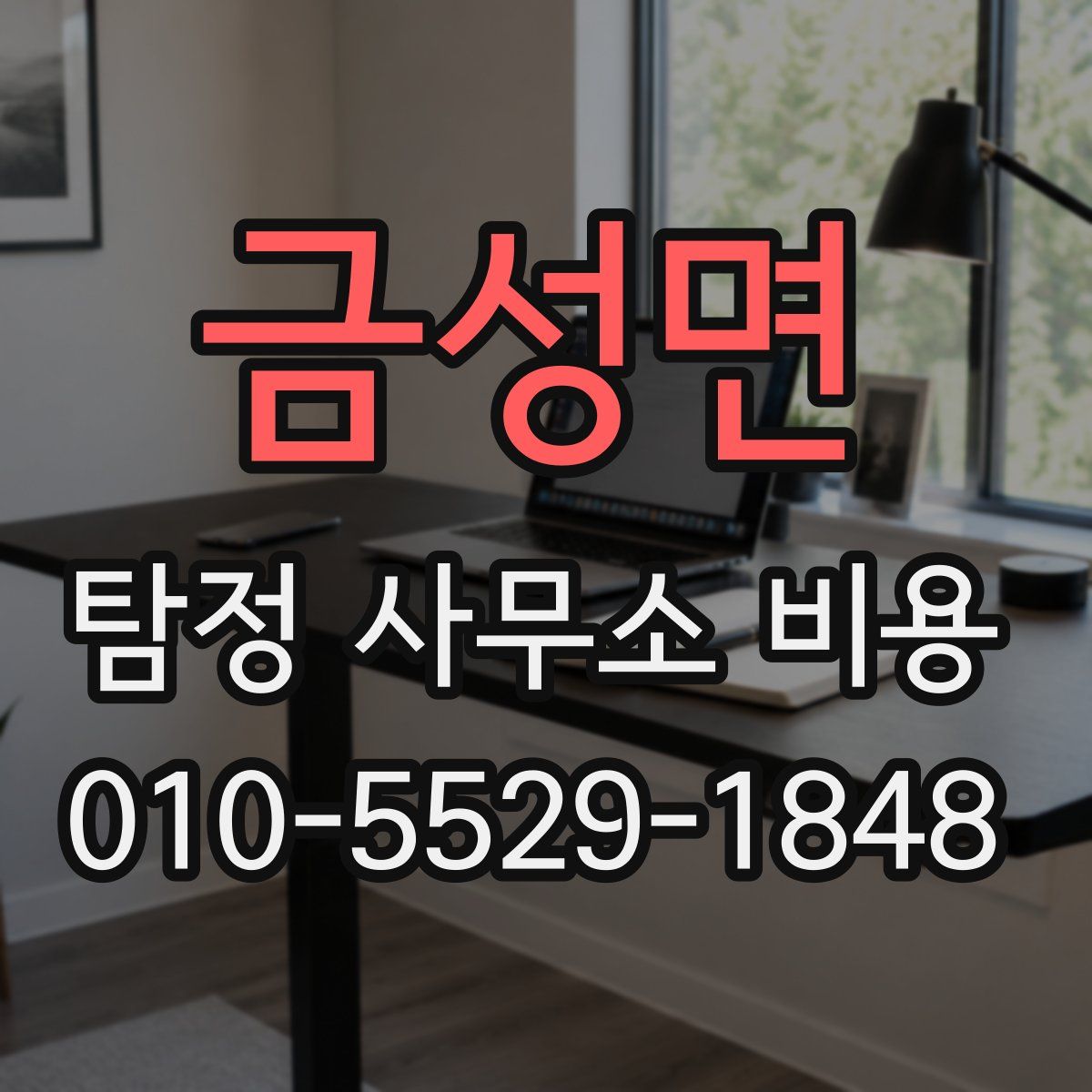 금성면 탐정 사무소 비용