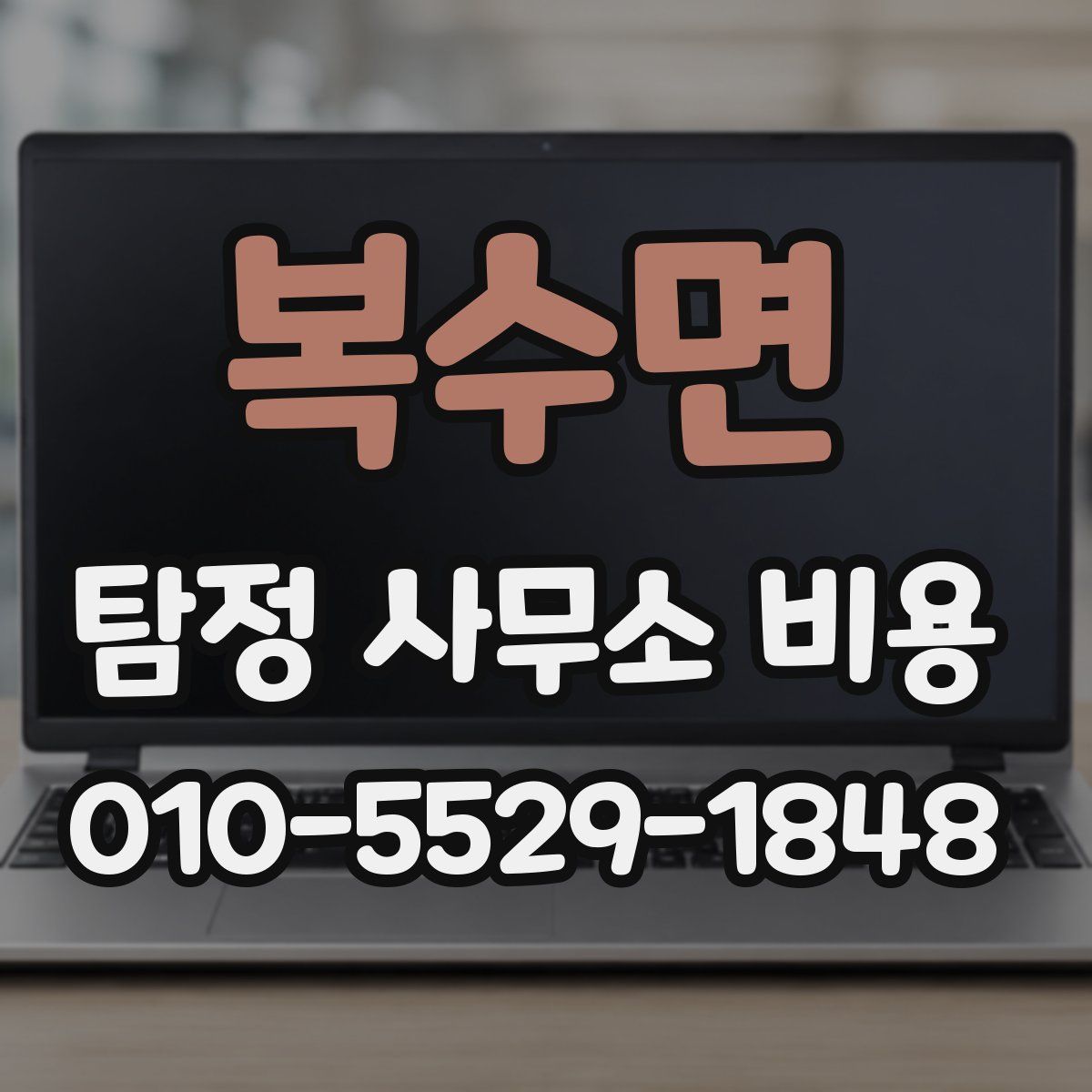 복수면 탐정 사무소 비용