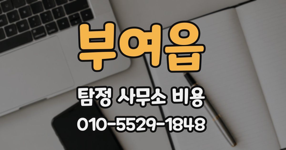 부여읍 탐정 사무소 비용
