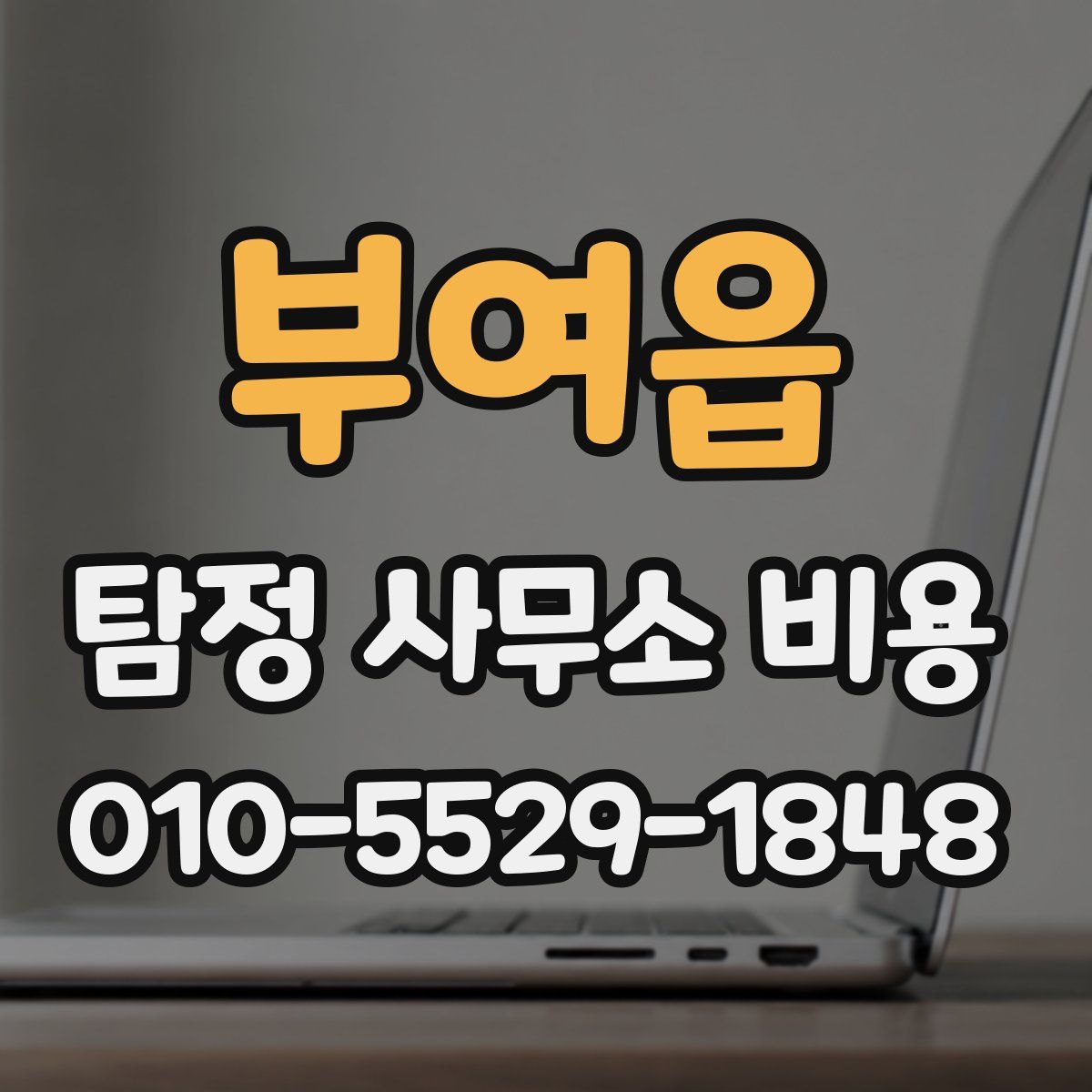 부여읍 탐정 사무소 비용