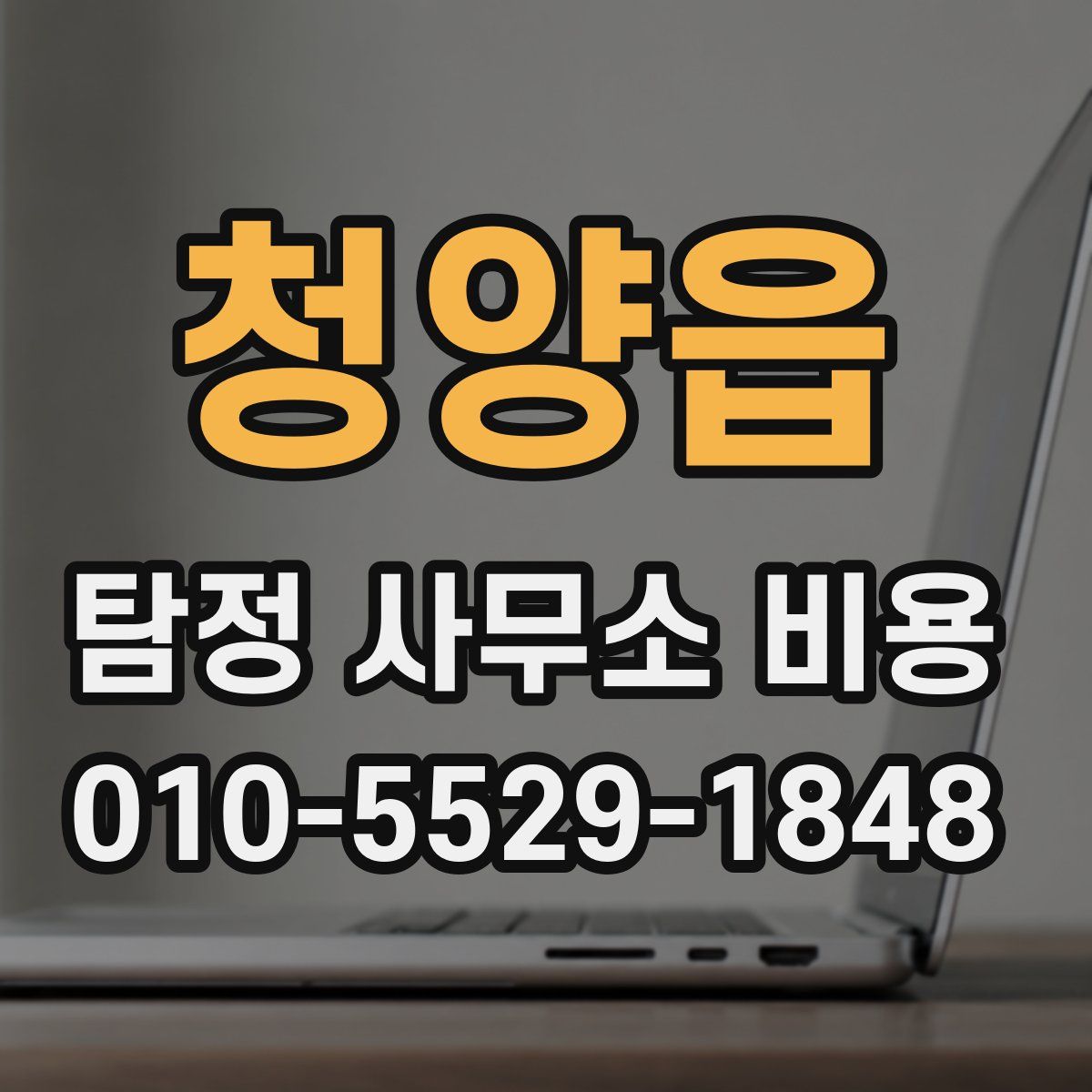 청양읍 탐정 사무소 비용