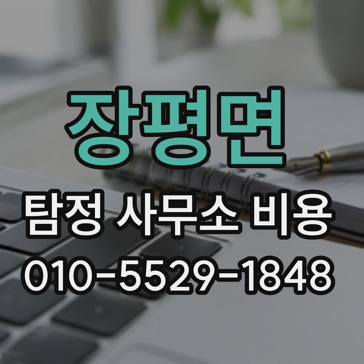 장평면 탐정 사무소 비용