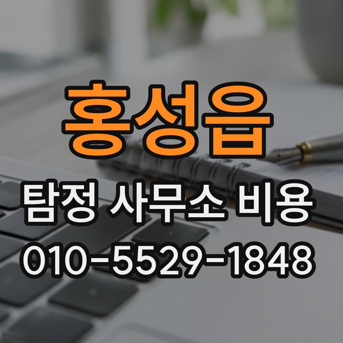 홍성읍 탐정 사무소 비용