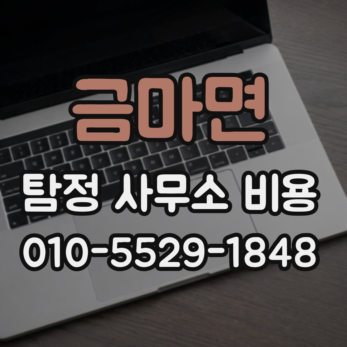 금마면 탐정 사무소 비용