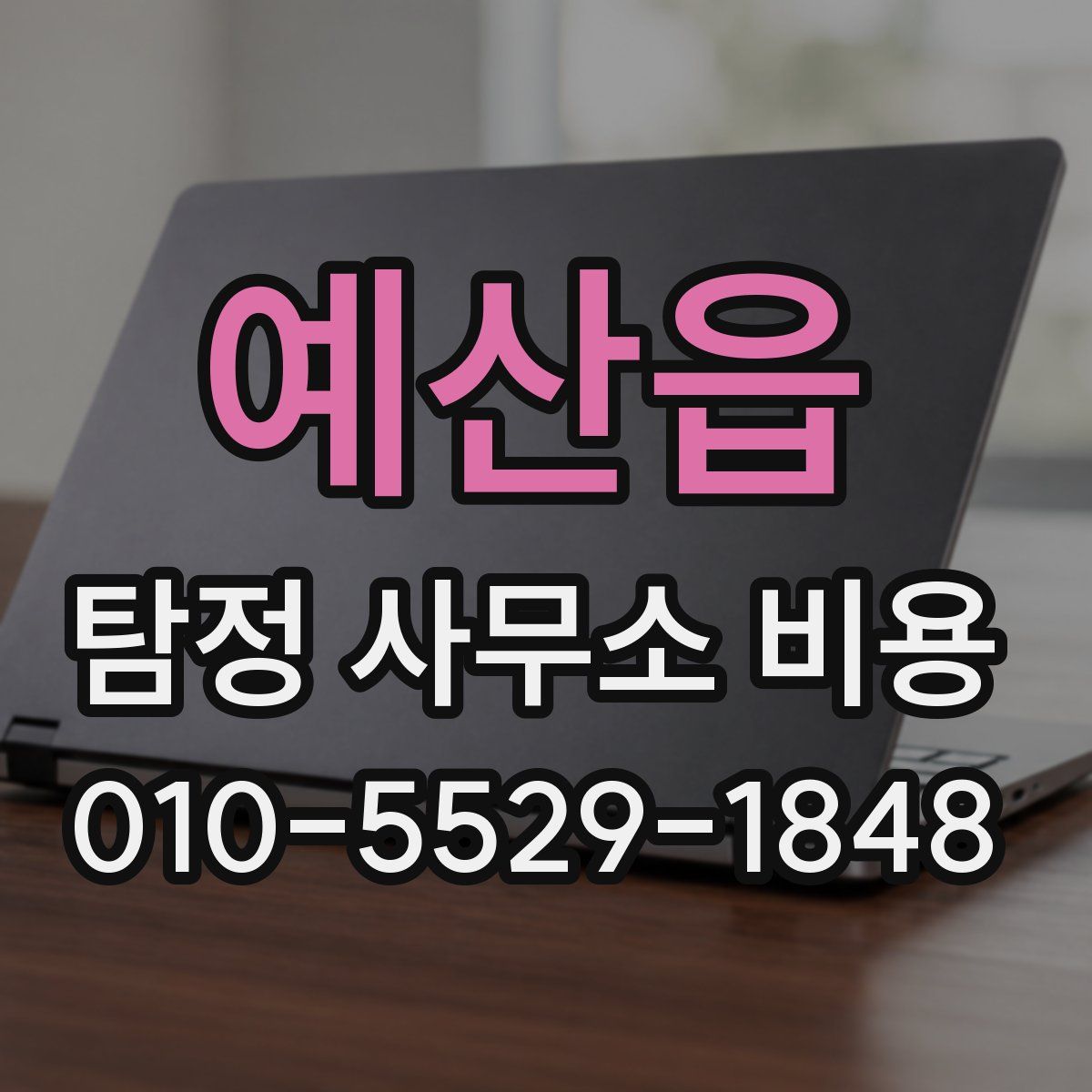 예산읍 탐정 사무소 비용