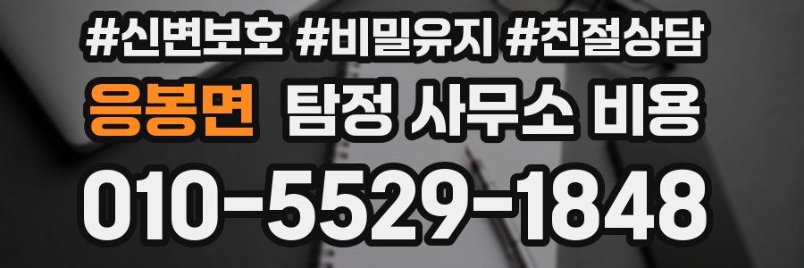 응봉면 탐정 사무소 비용