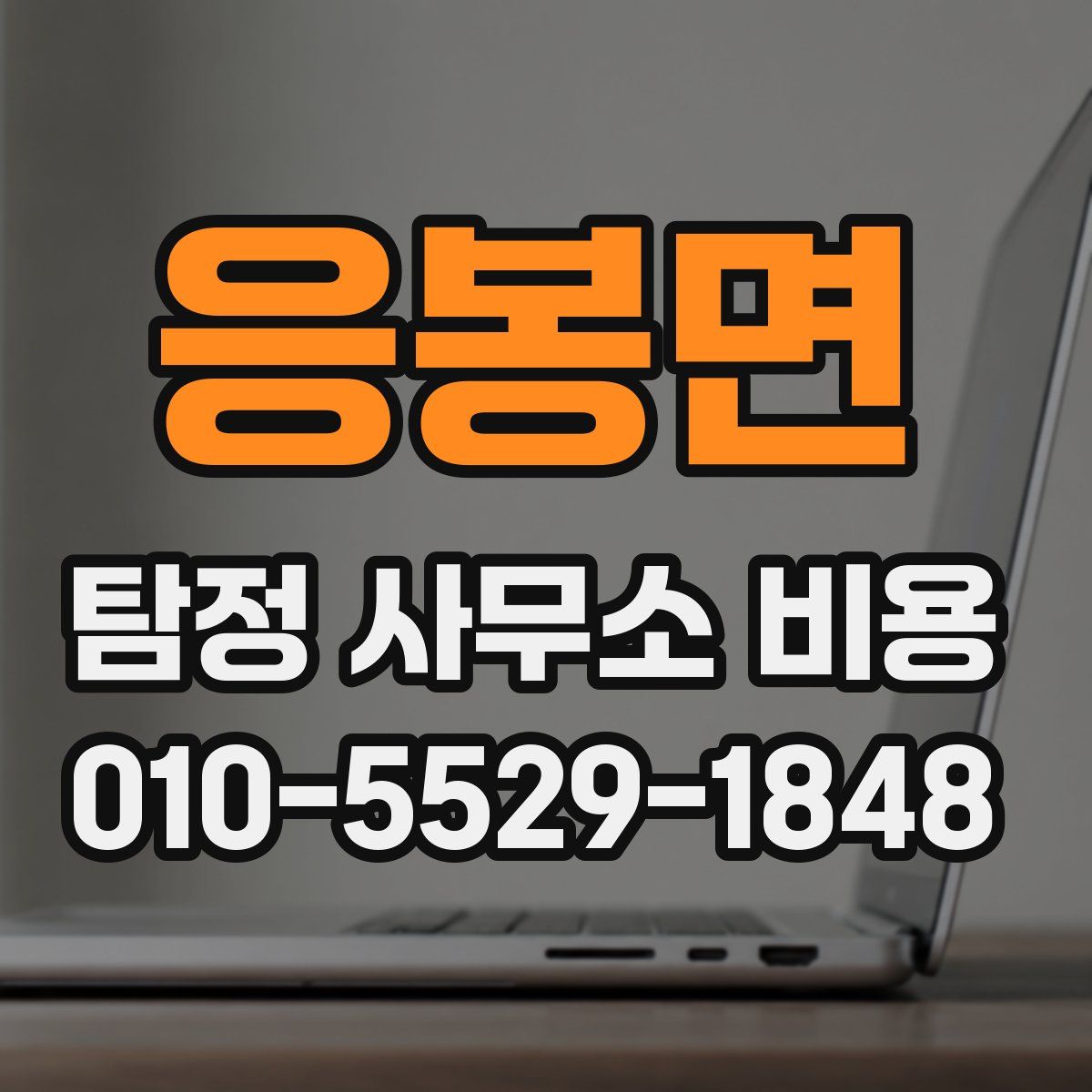 응봉면 탐정 사무소 비용