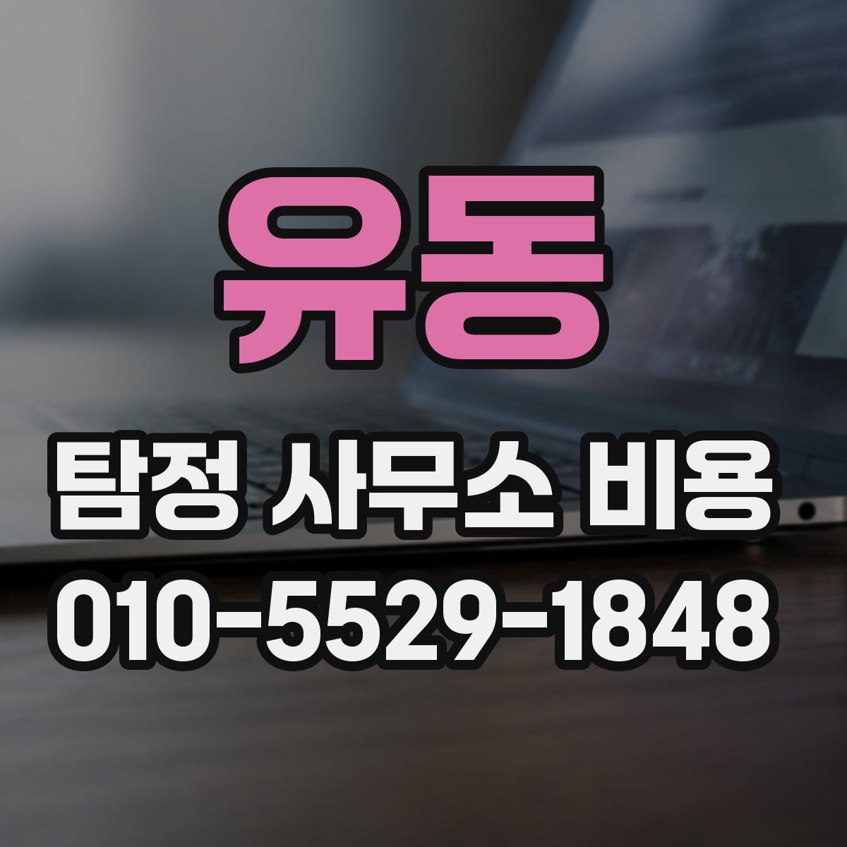 유동 탐정 사무소 비용
