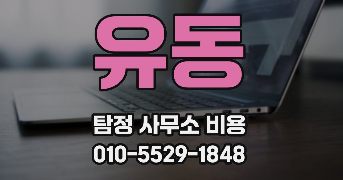 유동 탐정 사무소 비용