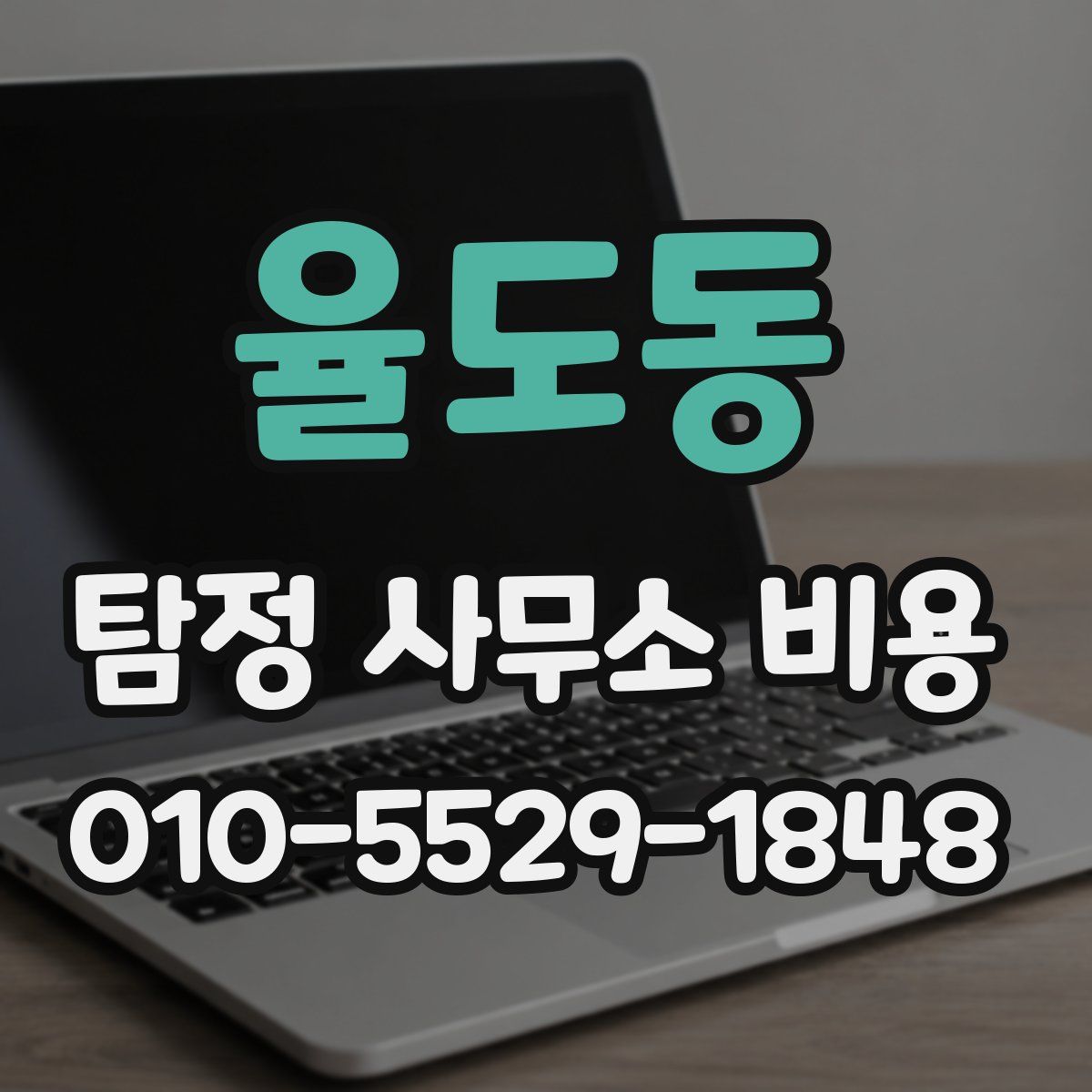 율도동 탐정 사무소 비용